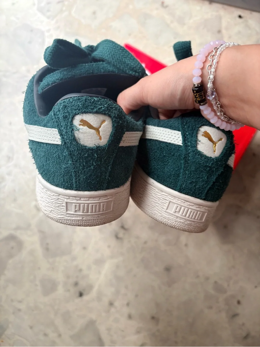Puma brand model